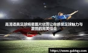 2024年11月，阿莫林出任曼联主帅，带队取得25胜15平23负。本赛季曼联目前排名英超第6。